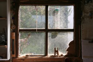 What to Expect from Our Window Washing Services